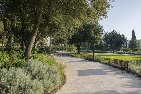 Coastal Boulevard Median Planting