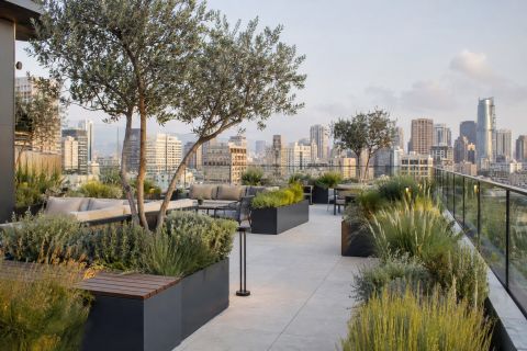 Corporate Roof Garden